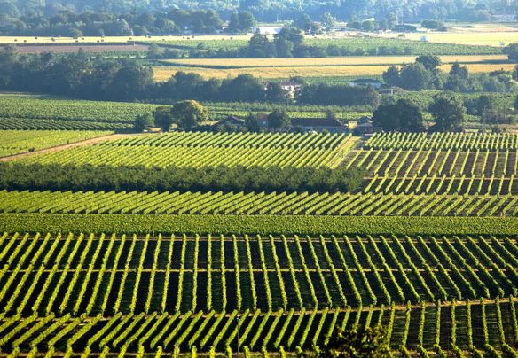 Pompes Funèbres à Bergerac (24)